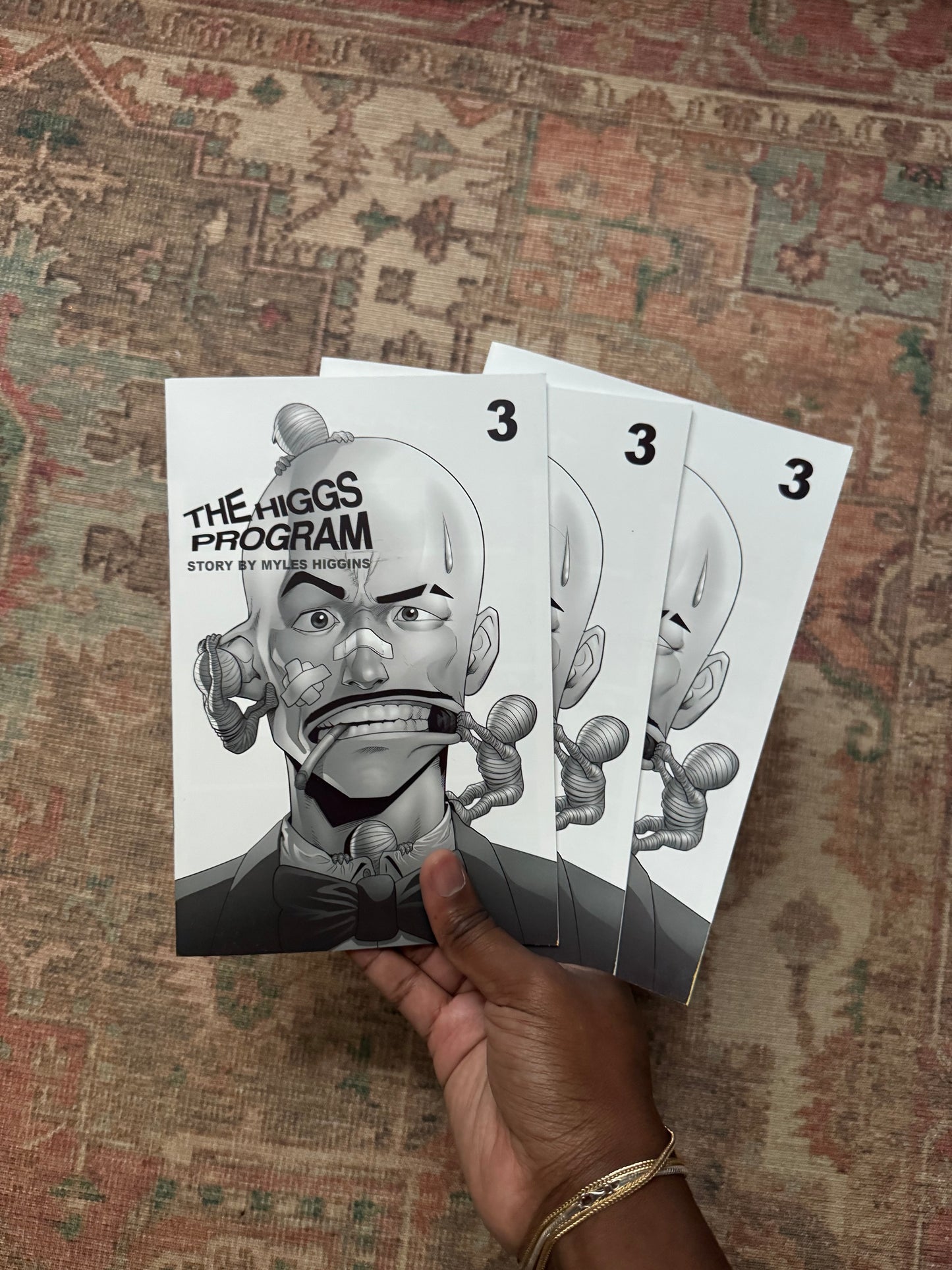 The Higgs Program Chapter 3